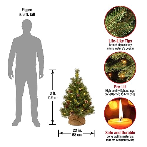 National Tree Company 3 ft Pre-Lit Mini Artificial Christmas Tree, Pinecones, 35 Clear LED Lights, 144 Tips, Timer, Burlap Base, Green