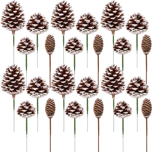 Fovths 42 Pieces Natural Christmas Pine Cones Assorted Sizes 1.6-4