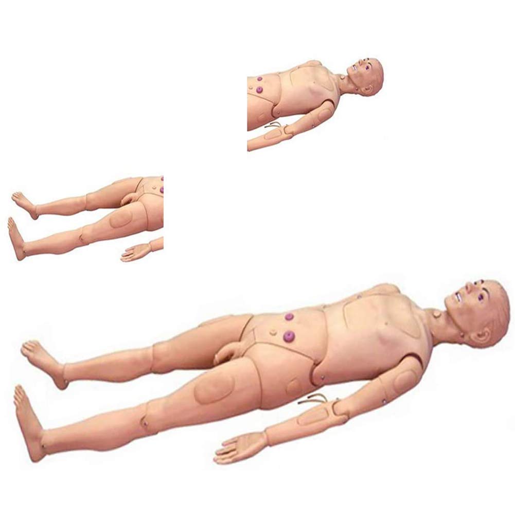 DDT Krankenpflege Pflegepuppe Multifunktional Patientenversorgungssimulator 170CM Nursing Medical Ausbildung Lehre Bildung Medizinische Versorgung Altenpflege