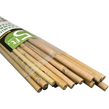 Mininfa Natural Bamboo Stakes 5 Feet, Eco-Friendly Garden Stakes, Plant Stakes Supports Climbing for Tomatoes, Trees, Beans, 20 Pack