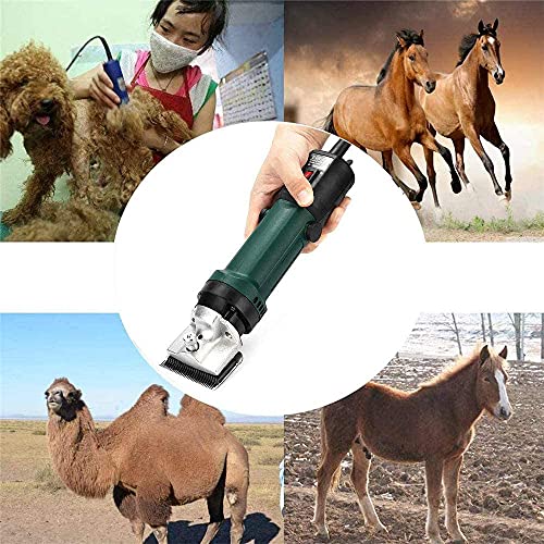 690W Horse Clipper for paarden Horse Clipper Electric Horse Clippers Electric Horse Clippers for honden/vee/ezels/alpacas/lamas wenfeng1991 - Afbeelding 8
