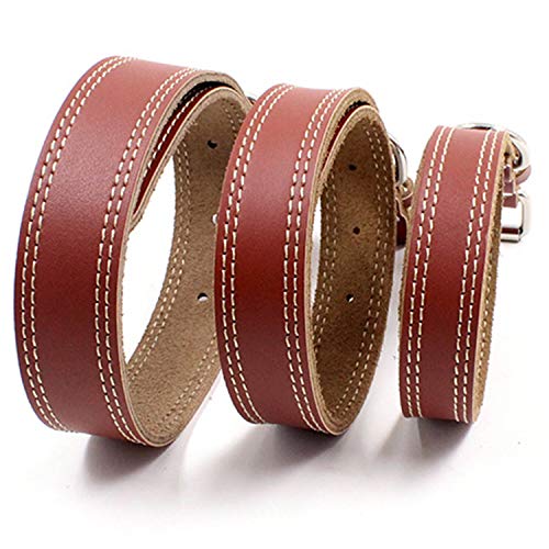 Collar de cuero para perros pequeños - Marrón miniatura 4