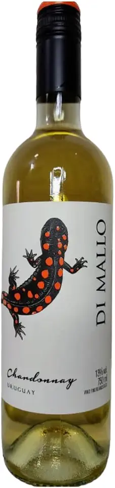 Vinho Branco Seco Chardonnay Uruguaio Di Mallo 750ml Fino Jovem Aromas de Frutas Tropicais e Cítricas Leve Refrescante Ideal para Frutos do Mar e Risotos