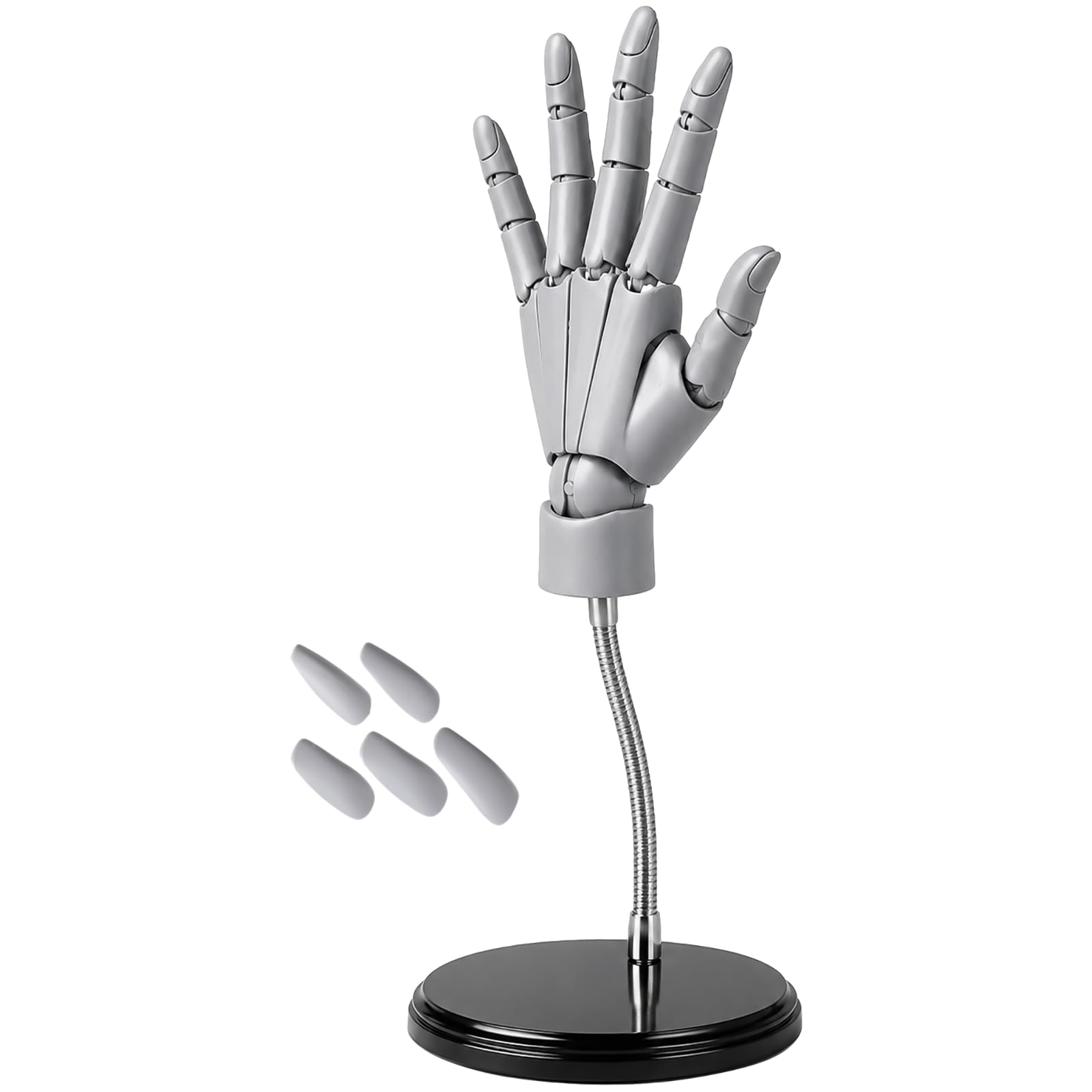 Main droite flexible 1:1, mannequin de main articulée pour artistes, doigts réglables pour dessin, main en ABS flexible pour cours d’art, photographie, présentoir à bijoux