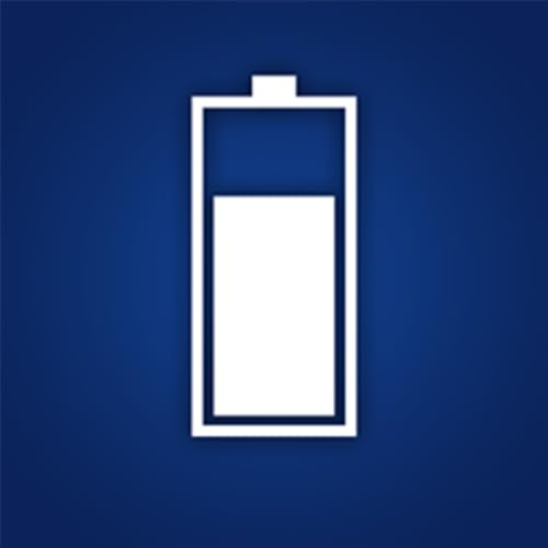 Smartphone Battery Life Info