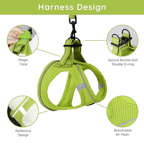 BELLA & PAL Dog Harness and Leash Set, Step-in Puppy Harness, Breathable Air Mesh with Reflective Strips - Image 2