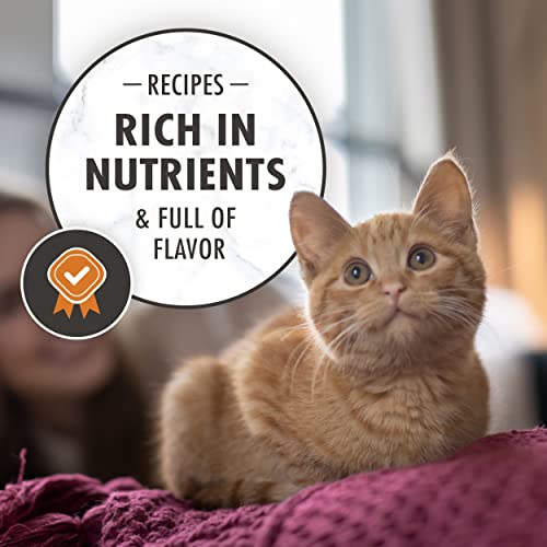 Image of Nutro Wholesome Essentials Kitten Natural Dry Cat Food for Early Development Farm-Raised Chicken & Brown Rice Recipe, 3 lb. Bag (Pack of 2)