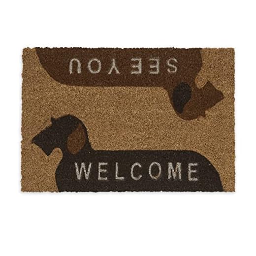 Relaxdays Felpudo Entrada Casa Welcome/See You, Alfombrilla Puerta Perro, Tapete Coco 60x40 cm, Base PVC, Marrón, 90%, Azul/Natural