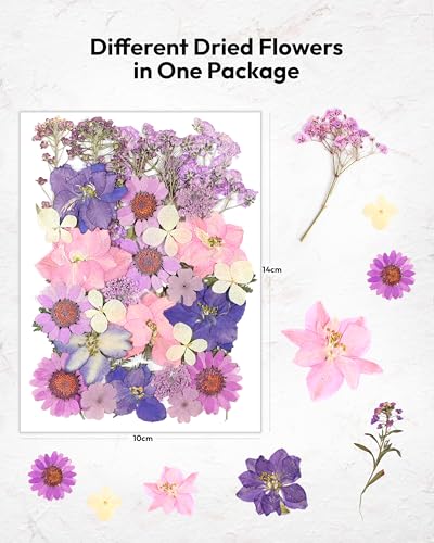 Image of Dried Flowers, Resiners 58Pcs Pressed Flowers for Craft Purple Real Natural Dried Flowers Dry Leaves Kit for DIY Making Crafts Resin Soap Candle Scrapbook Supplies Card Making Jewelry