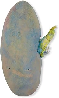 Perfect Solution Preserved Pig Kidney, Triple, Pail