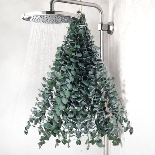 DOMESTAR 16 PCS Real Dried Eucalyptus for Shower 16 17 Natural