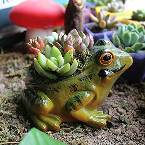 XZJMY Succulent Pots, Plant Pots for Frog Decor Small Animal Succulent Planters - Image 4