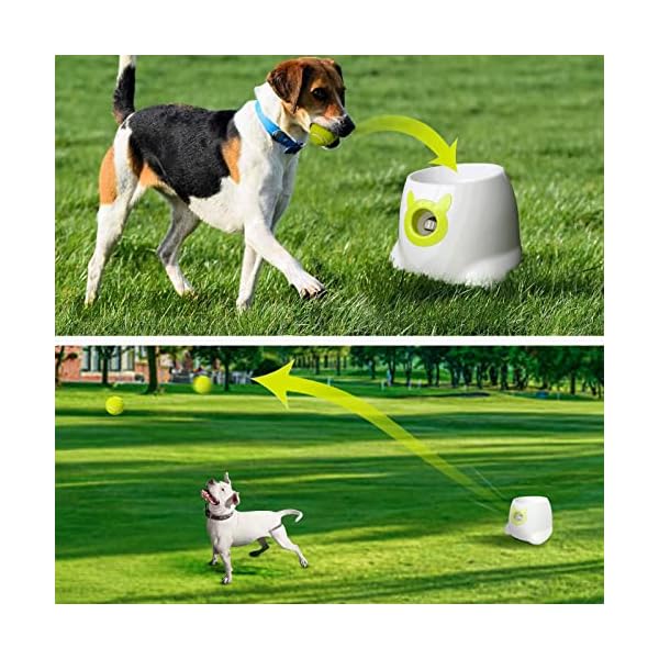 YEEGO-DIRECT-Ball-Launcher-for-Dogs-Automatic-Dog-Ball-Launcher-with-5-Tennis-Ball-Interactive-Dog-Toys-Pet-Ball-Indoor-Thrower-Machine Interactive Dog Toys with 5 Tennis Balls
