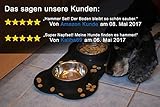 NEEZ Napfset Katzennapf Fressnapf Hundenapf Napf mit Unterlage für Katzen und Hunde - 7
