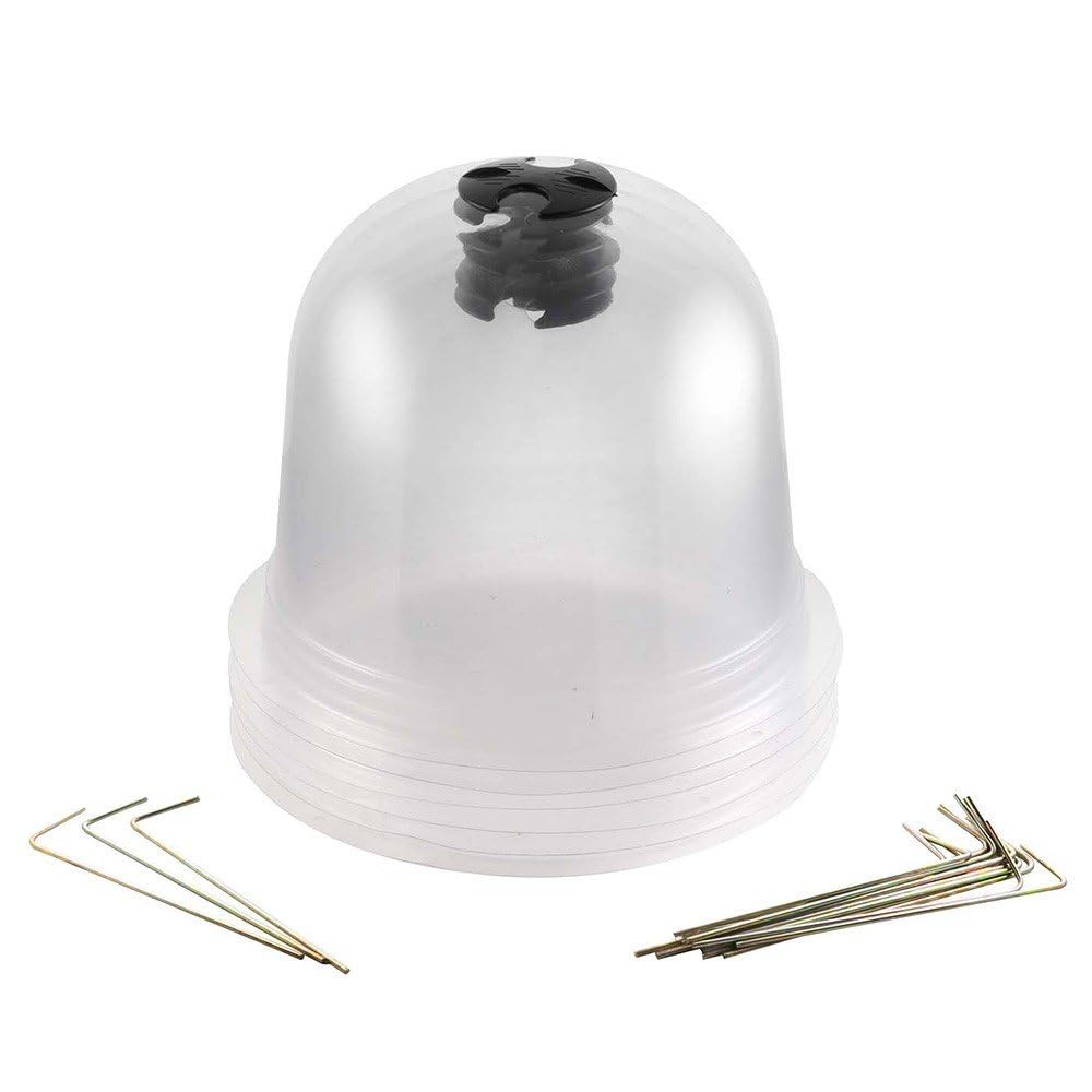 Cloches à salades Plastique - Lot de 6