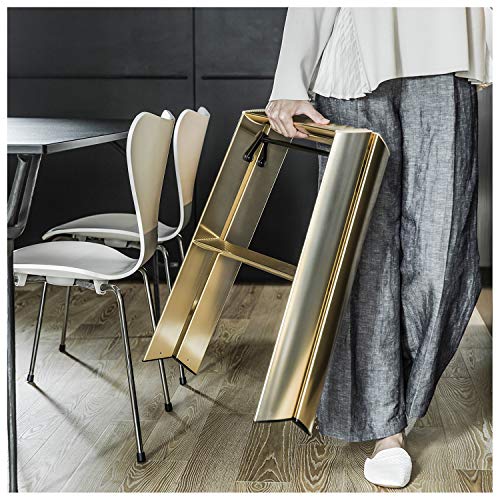 Hasegawa Ladders Lucano Step Stool Premium Edition 2 Step Gold - Image 6