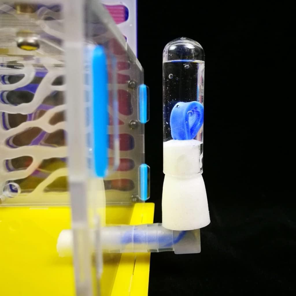 Akrylowe stereoskopowe gniazdo obserwacyjne Akrylowy zamek mrówek siedlisko mrowisko farma mrówek biologia klasa edukacja dzieci zestaw naukowy mrowisko farma Badanie zachowania kolonii mrówek(Giallo)
