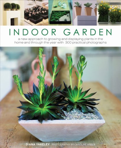 Indoor Garden: A new approach to growing and displaying plants in the home and through the year with 300 practical photographs