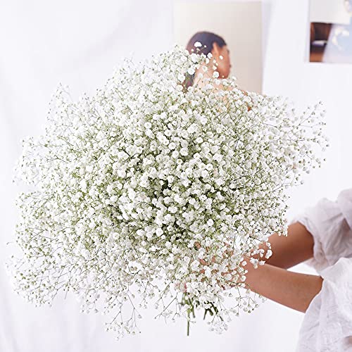 YIWOYI Natural Dry Flower Gypsophila Fresh Dried Preserved Flowers Gypsophila Paniculata Breath Flower Bouquets For Wedding Party Home Dekoration (rose Red,40-55cm80g)