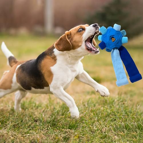 Shienfir Double Snoop Hundespielzeug, spannendes Hunde-Anreicherungsspielzeug, interaktives Schnüffelball, Nahrungssuchfähigkeiten, Training, Puzzle-Futterspender für kleine, mittelgroße Blau