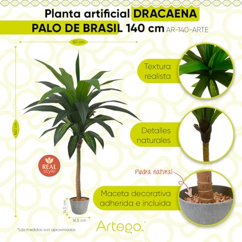 Listado y reviews de Tronco brasil los más recomendados. 17 Imagen adicional