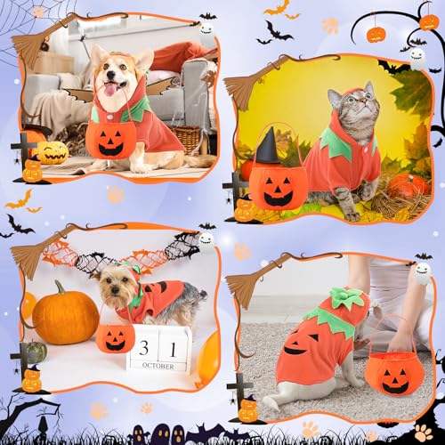 Disfraz Halloween Calabaza para Perro Talla M 2 piezas miniatura 5