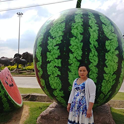 Muam Nkauj Paag Txuj Kev Lwj Sab