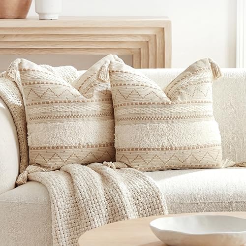 BlissBlush Decorative Throw Pillow Covers 18X18 Combo Set of 2 Sq...