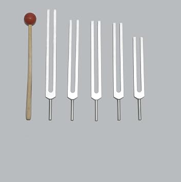 TFS Tuningforkshop 5 Pc Brain Tuning Fork for Healing with Mallet+Pouch