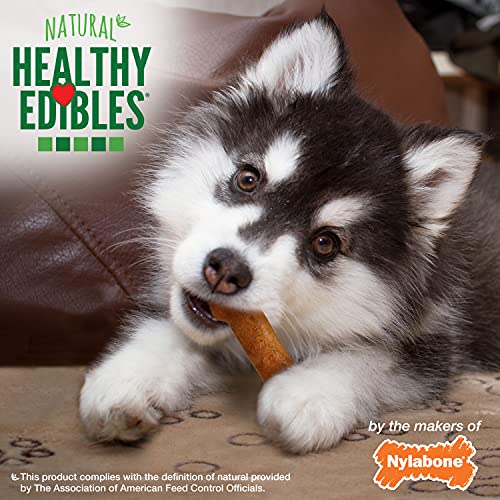 Image of Nylabone Healthy Edibles Puppy Dog Treats, 3 Count | Turkey & sweet potato flavor, natural puppy treats, USA made, highly digestible, small dog treats for puppies up to 25 lbs
