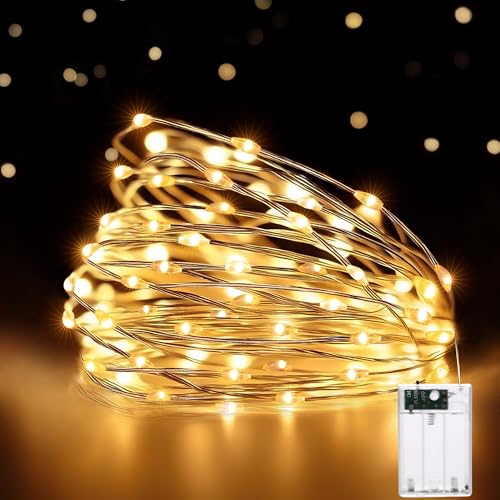 HeiPard Lichterkette Batterie 5m 50 LED, klein Lichterketten...