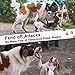 BUVUB Dog Protection Vest Harness Built-in Bendable Lightweight Steel Plate Against Attacks by Coyote, Hawk, Raptor, and Birds of Prey