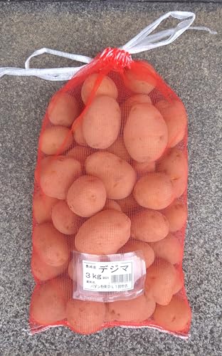  茧Y ^ln鏒 fW}iHpł͂܂j (3kg)