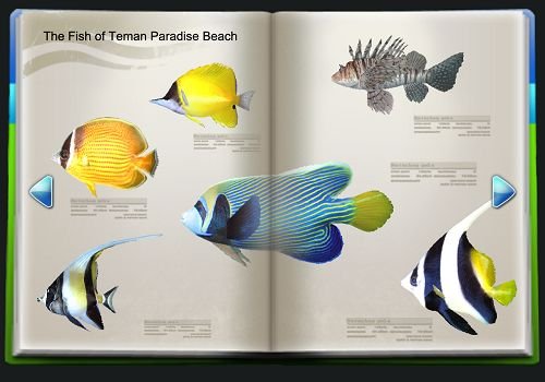 Fishing Resort - Nintendo Wii