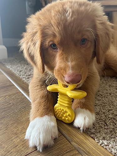 Image of Nylabone Puppy Chew Rubber Textured Teether Dog Chew Toy, Vanilla Flavor