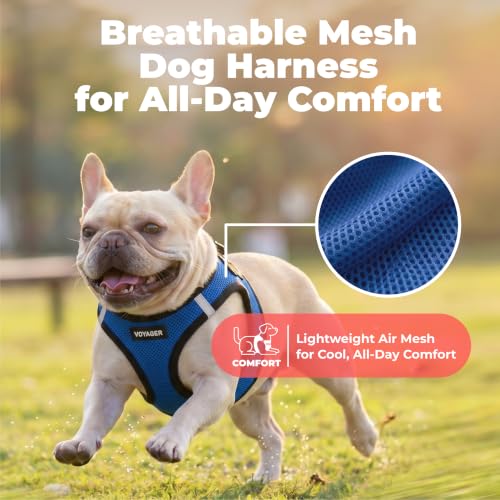 Image of Voyager Step-in Air Dog Vest Harness - Royal Blue /Black Trim, X-Small | 13 - 14.5 inch in Chest, Reflective Bands, All Weather Breathable Air Mesh, Cats Compatible, Lightweight, Fast Drying