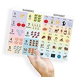 PinMaze Alphabet Numbers Colors 2D 3D Shapes Table Chart Poster Quick Reference Card - Educational Summary...