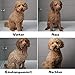Moki Bär Hundeshampoo wit wertvollem Arganöl aus Marokko I Für geschmeidiges Fell und Gute Kämmbarkeit I Made in Germany