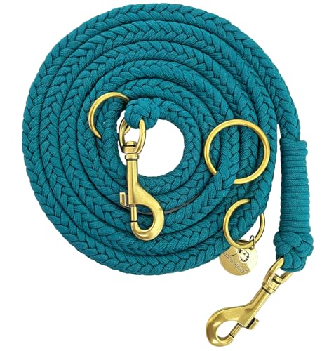 Leisegrün Paracord Hundeleine 2m | Handgefertigte Leine 3-Fach verstellbar | Handmade für kleine und mittelgroße Hunde (Seafoam, 2 m) | Farbe: Türkis