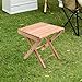 shamjina Folding Stool Foldable Chair with x Shaped Structure Sturdy Stable Outdoor Camping Seat Fishing Chair for Fishing Picnic Yard, Shape A