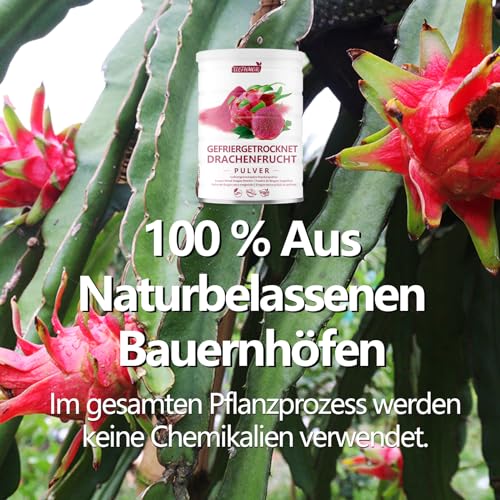Premium Drachenfrucht Saftpulver 450g - Atomisierendes Trocknen Pitaya-Pulver, Ohne Zuckerzusatz, 100% Natürlich & Keine Zusatzstoffe