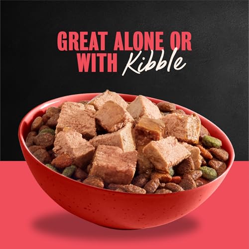 Image of Cesar Classic Loaf in Sauce Wet Dog Food, Beef Recipe, 3.5 oz, 24 Count | Real beef #1 ingredient, Made in USA, Easy peel trays, no fillers /added sugar /artificial flavors, use as meal or topper