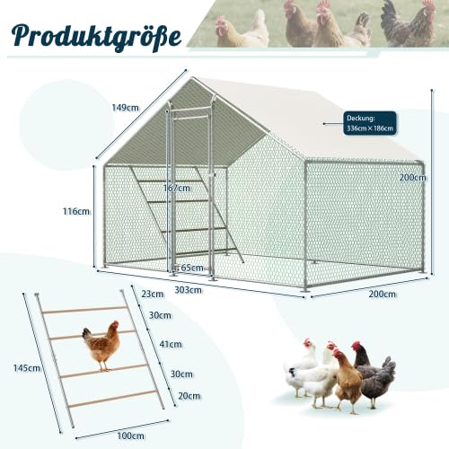 Gallinero con escalera de asiento – 3 x 2 m transitable aviario con cubierta de polietileno UV y cerradura de seguridad, para palomas y gallinas
