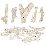 Garneck 3-10cm 500g Crushed Coral for Freshwater Saltwater Aquarium Natural Coral Stone for Fish Tank Filters Aquarium Bottom Landscape Decorations (Random Color)