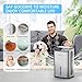 vinburg Dehumidifier for Home, 85 OZ Water Tank, (800 sq.ft.) Small Dehumidifier with Drain Hose for Bathroom Bedroom with Auto Shut Off, Timer, 7 Colors LED (Sliver Grey), medium size, Gray