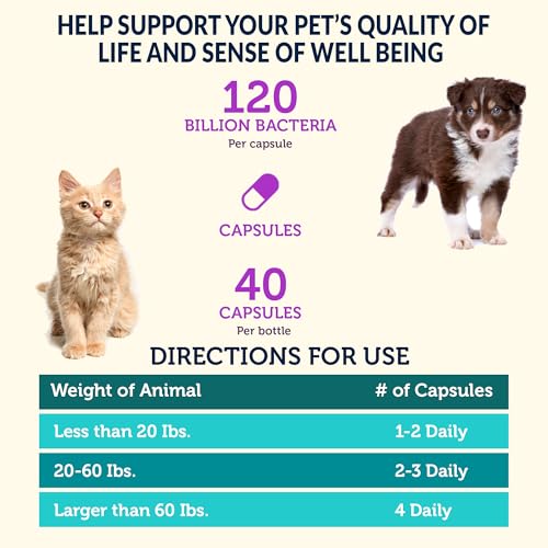 Image of Vetbiome Plus High Strength Probiotics for Pets (160 Capsules) - 120 Billion CFU, 9 - Strain Formula - Third Party Tested - U.S Made