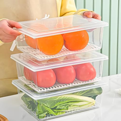 Image of JD FRESH 12 Piece Fridge Storage Containers /Organizer with Removable Drain Plate and Lid /Freezer containers /Vegetables Storage Box for Refrigerator /Fridge containers for Fruits /Meat /Fish (2500 ML)
