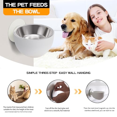 Missmisq Wandmagnetischer Hundenapf Edelstahl Haustier Trinknapf Futter- Und Wasserspender Für Katze Und Hund Wandmontage
