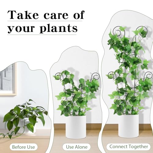 Image of ZOUTOG Trellis for Climbing Plants Indoor 4 Pack 30 Inch,Rustproof Metal Garden Trellis for Potted Plants,Sturdy Houseplant Support Indoor Outdoor for Ivy Pothos Monstera Hoya Flower Vine(Black Round)
