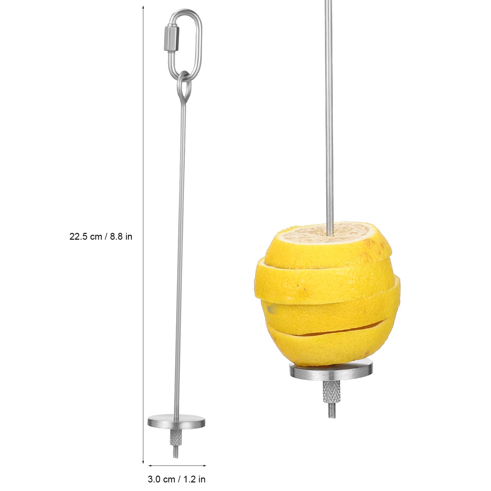 iplusmile 6pezzi Spiedini Per Uccelli Acciaio Inossidabile Supporti Per Frutta e Verdura Per Pappagalli e Canarini Facili Da Installare Durabilità Lungo Termine